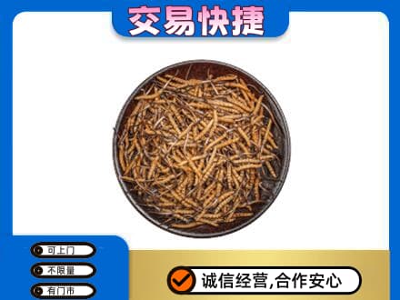 泰州市姜堰高价回收散虫草